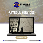 Payroll Services for Small Businesses - Staturebusiness.com